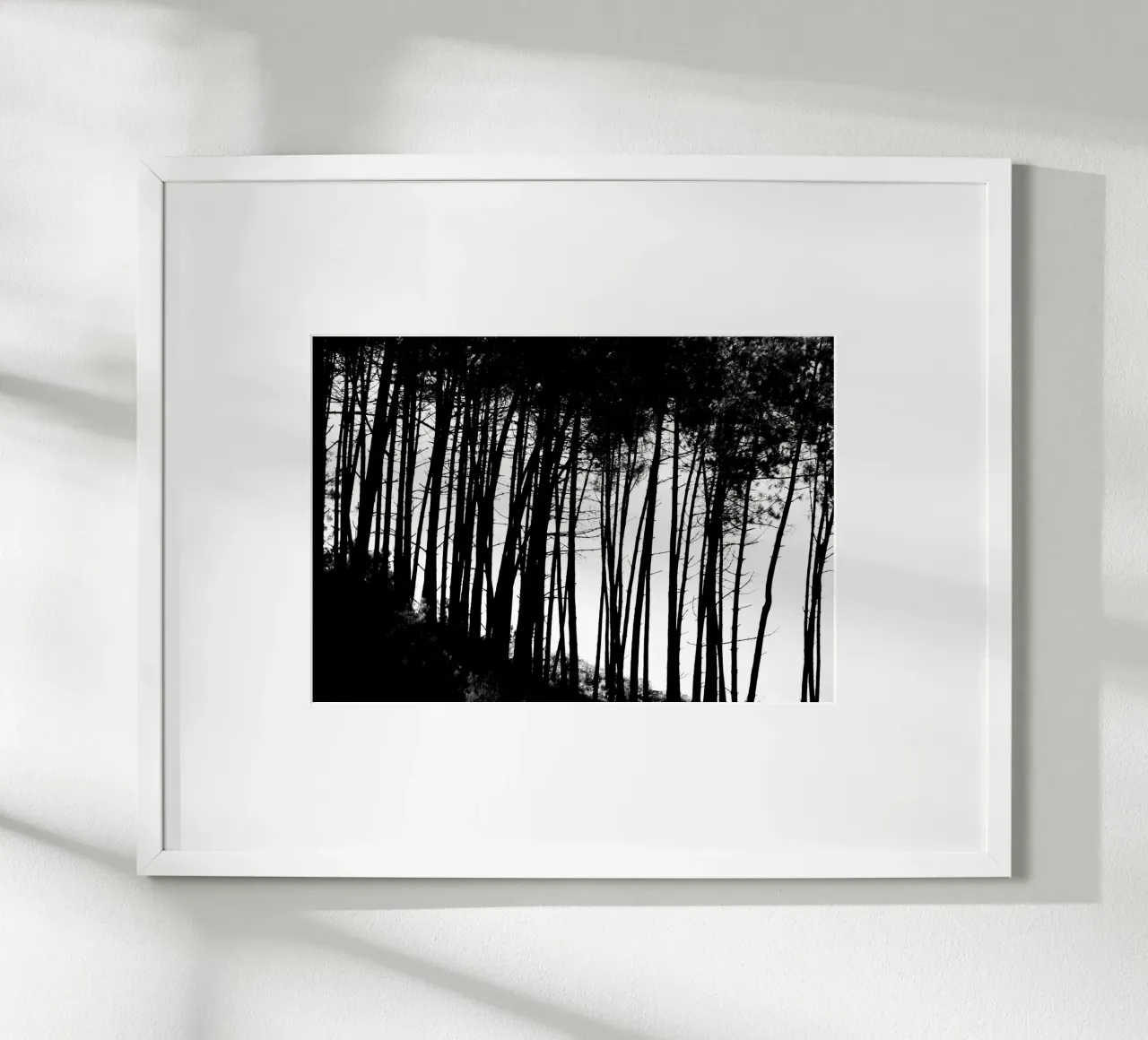 Bianco e nero poster da Teresa André