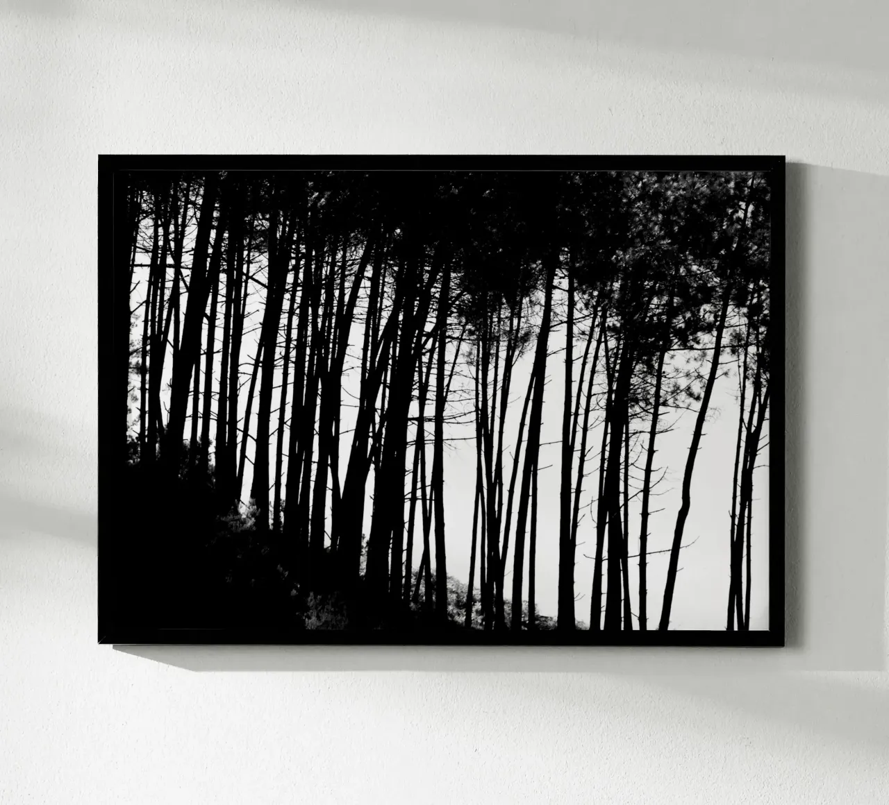 Bianco e nero poster da Teresa André