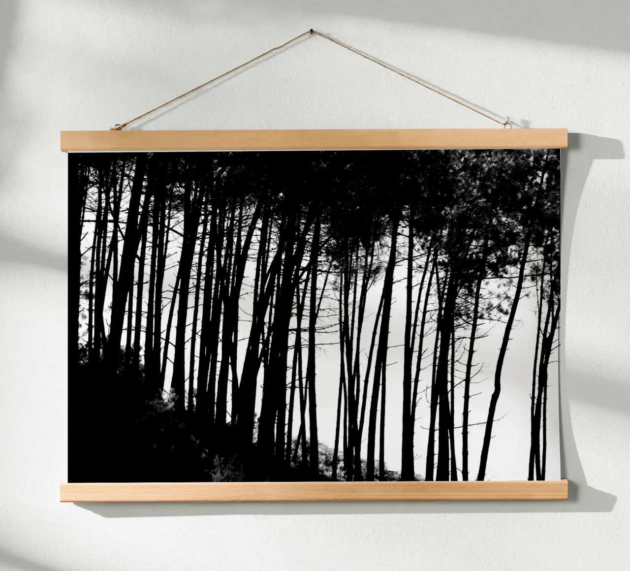 Bianco e nero poster da Teresa André