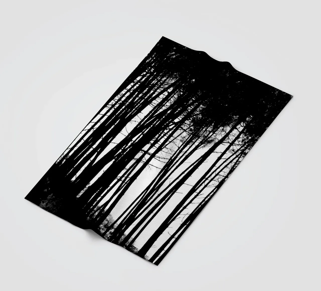 Bianco e nero coperta in pile da Teresa André