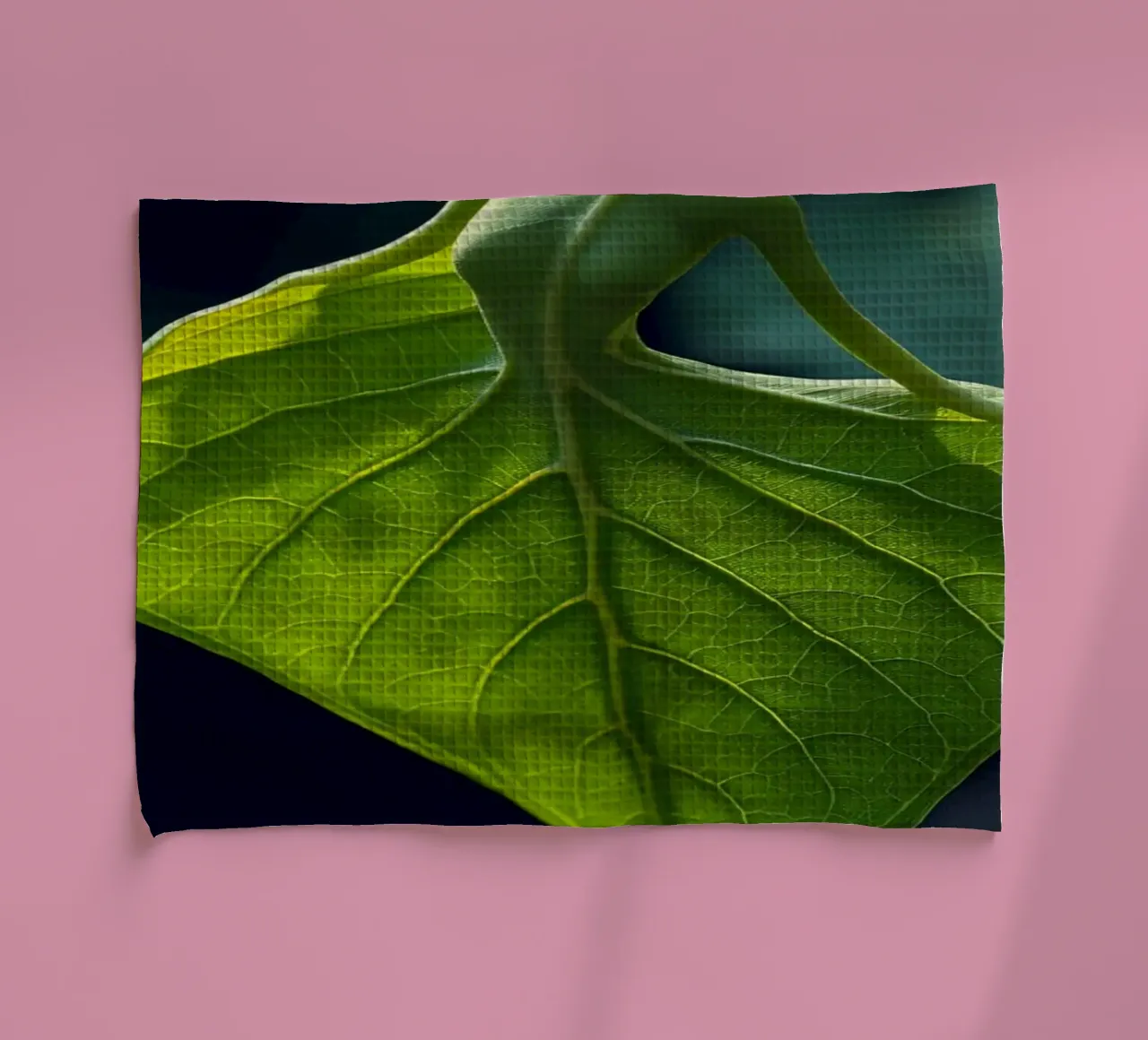 Une feuille unique ressemblant à une danseuse en lumière naturelle torchon de DesignDoodle