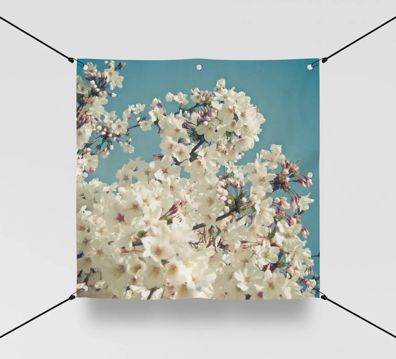 Germogli a maggio telo in pvc da Cassia Beck Photography