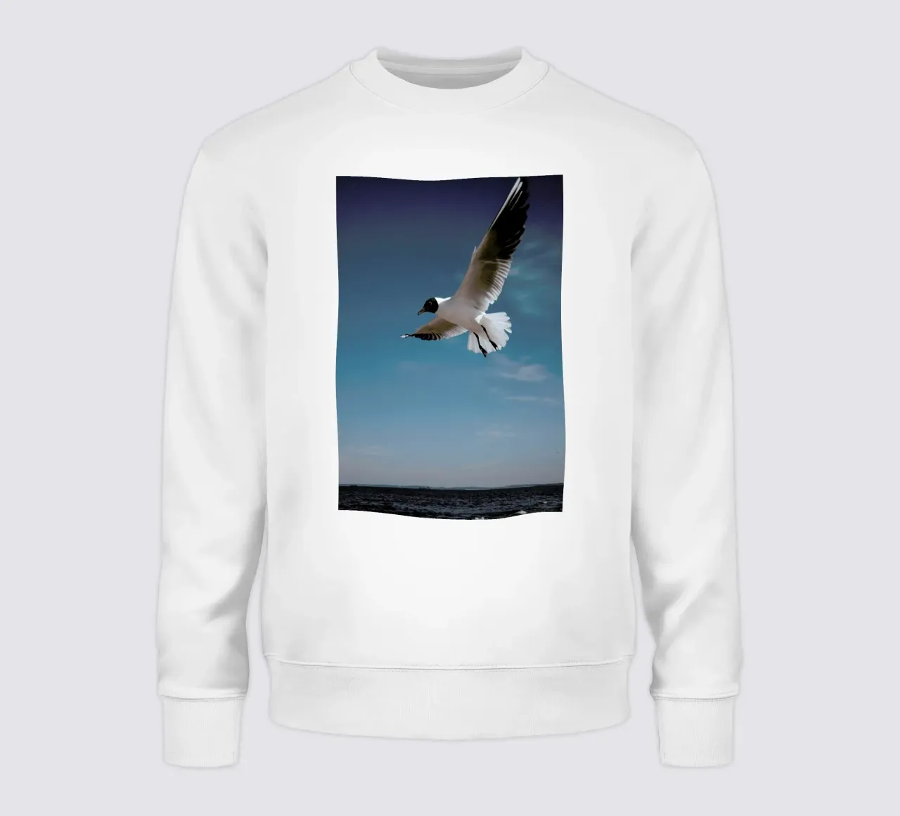 Seagulls IX felpa da Sebastian Hilgetag