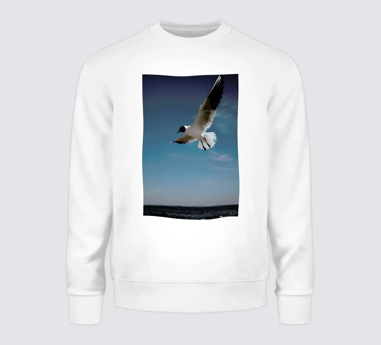 Seagulls IX felpa da Sebastian Hilgetag
