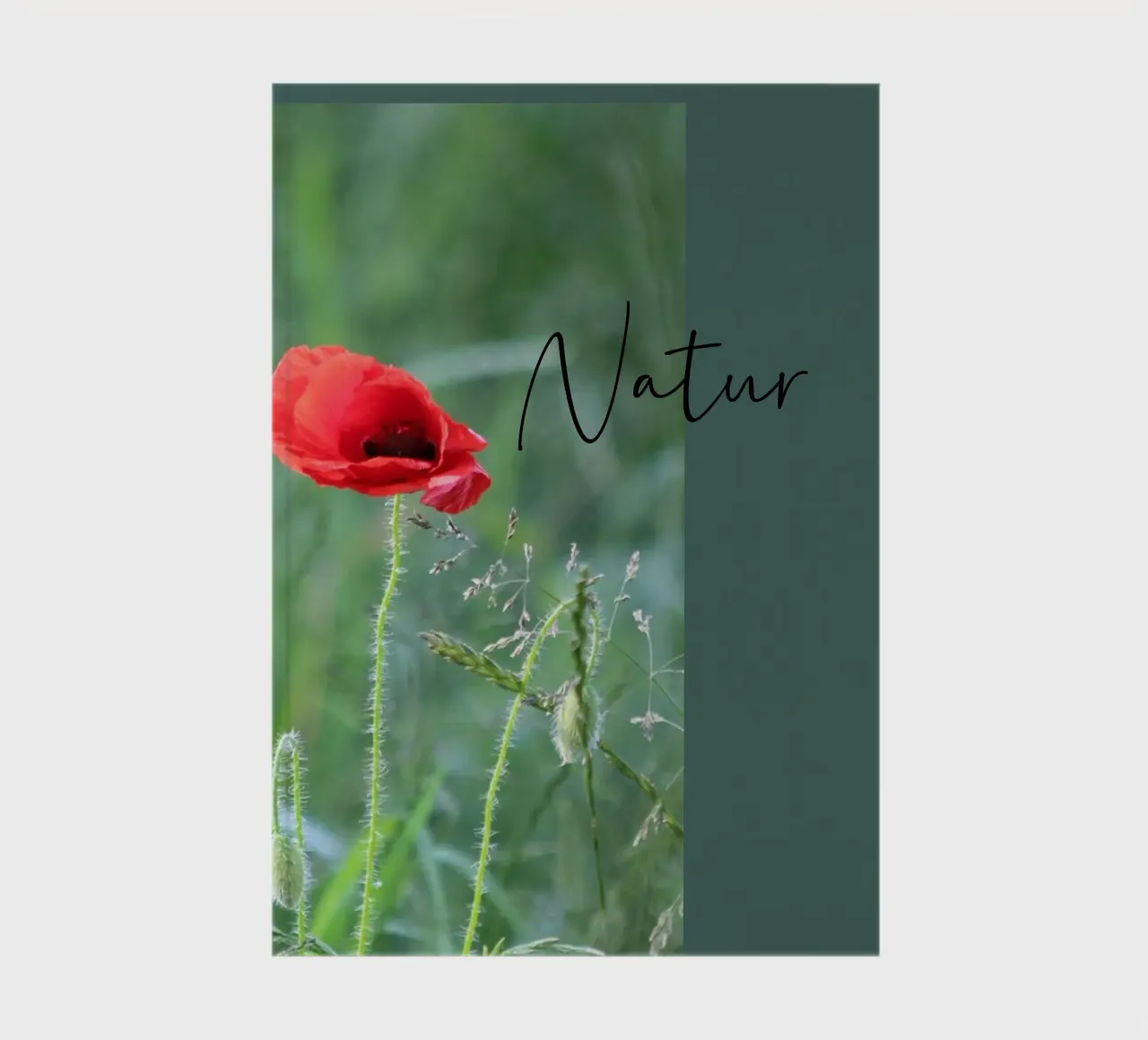Poppies in the field notebook by Kreativernetzt