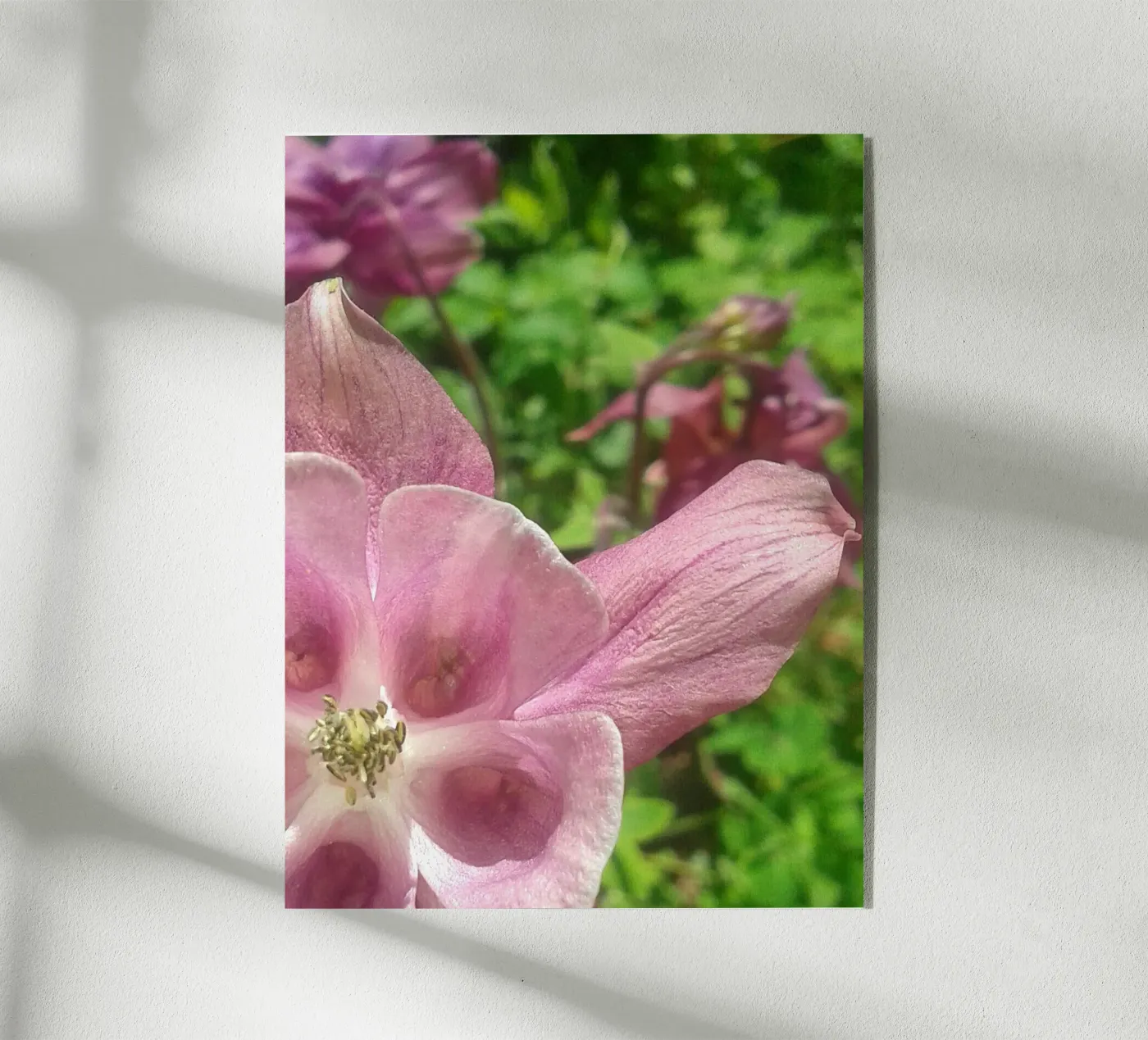 Akelei acryl van Kreativernetzt