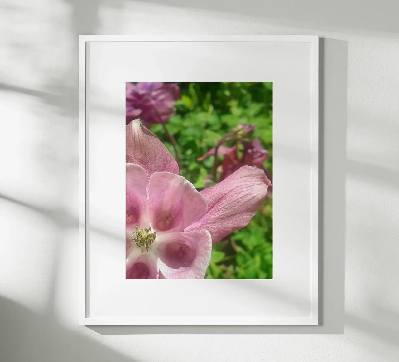 Akelei poster da Kreativernetzt