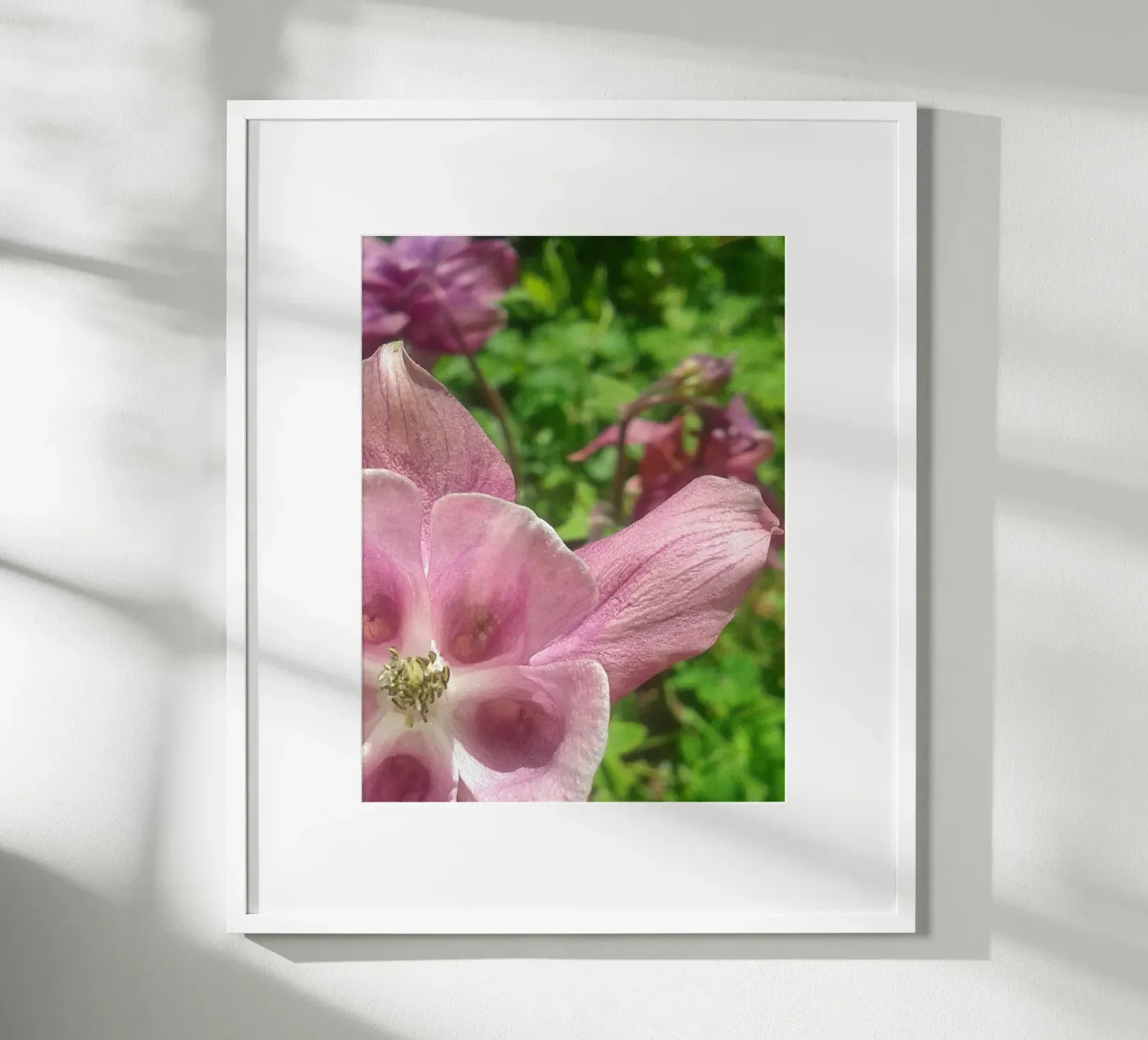 Akelei poster da Kreativernetzt