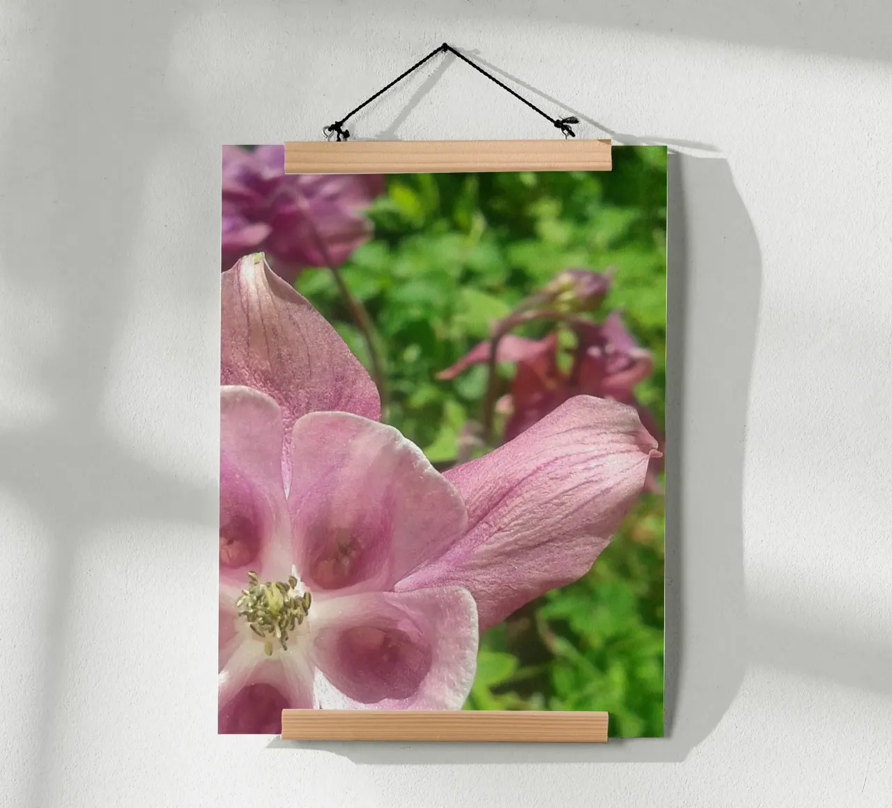 Akelei poster da Kreativernetzt