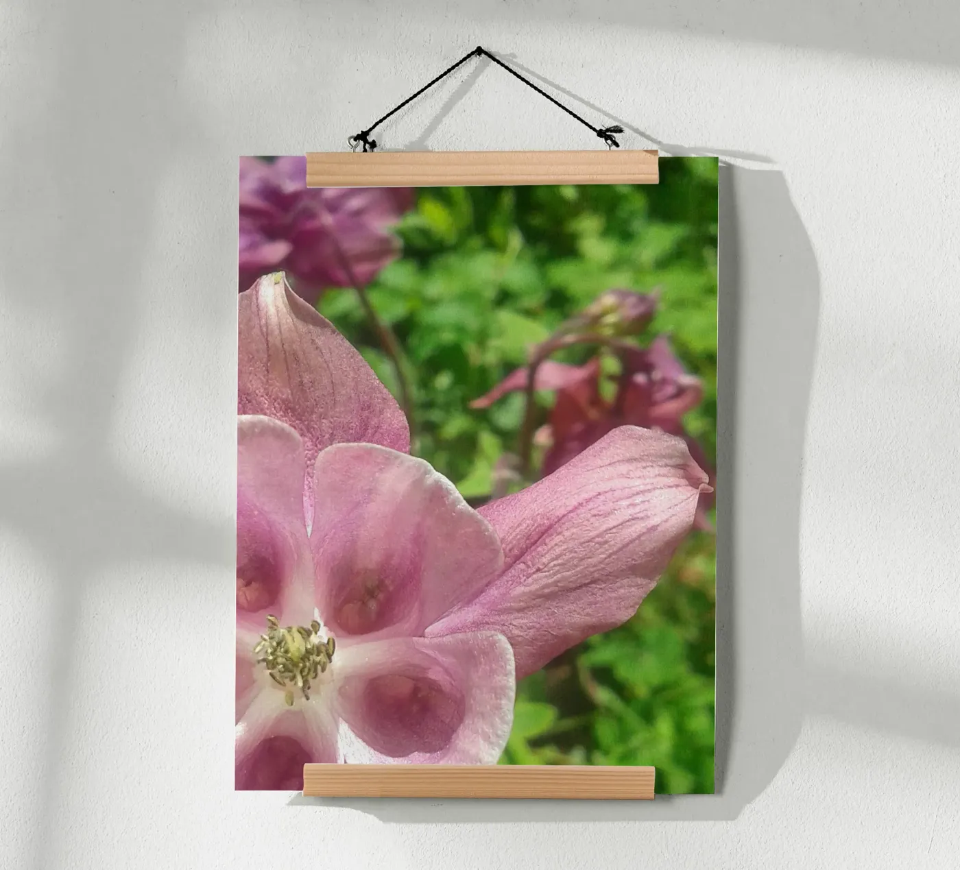 Akelei poster da Kreativernetzt