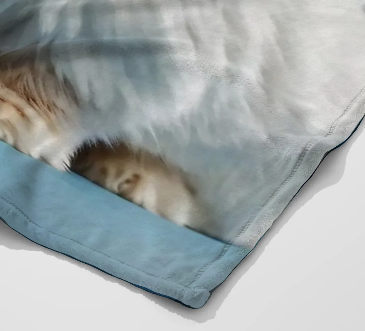 Flauschiges weißes Kaninchen, das auf einer blauen Fläche sitzt Fleecedecke von DesignDoodle