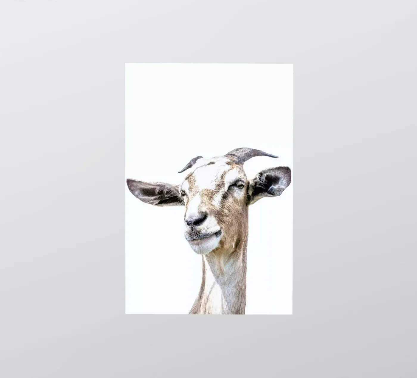 Geit sticker van Victoria Frost
