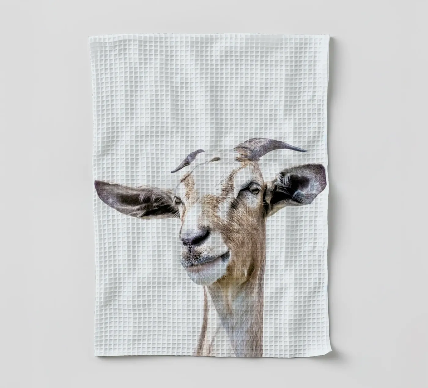 Chèvre torchon de Victoria Frost