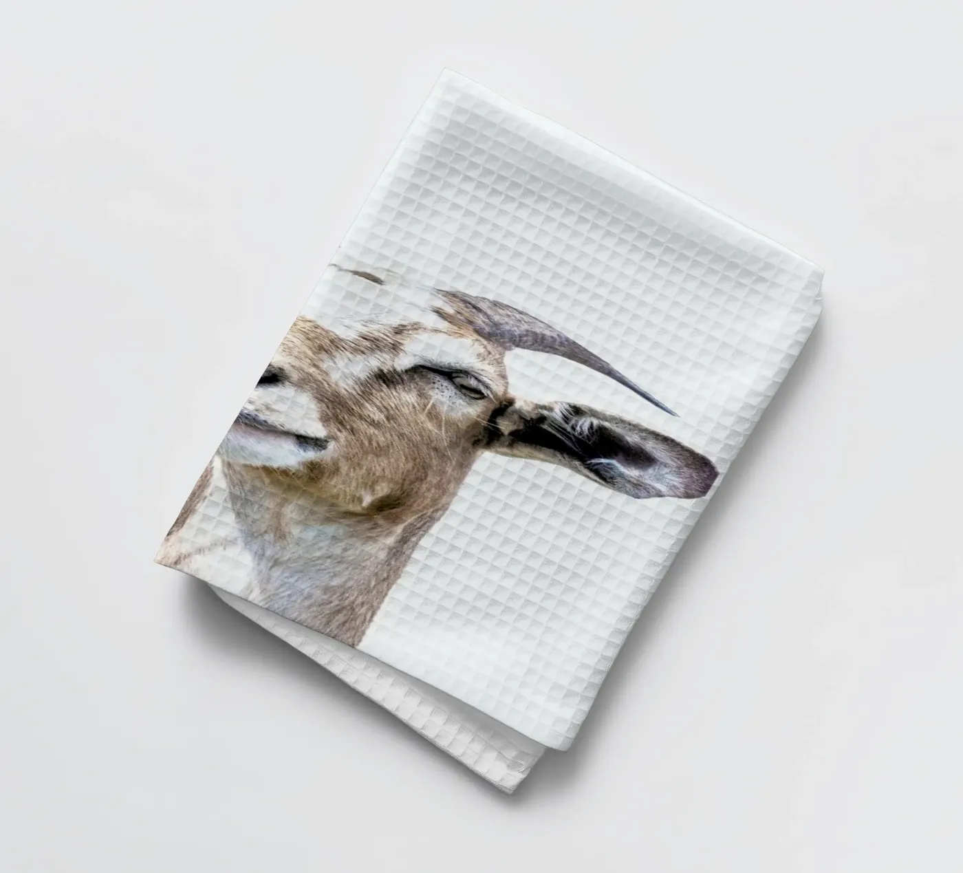 Chèvre torchon de Victoria Frost