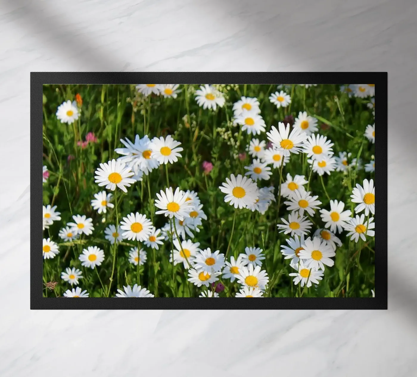 Gänseblümchen zerbino da Kreativernetzt