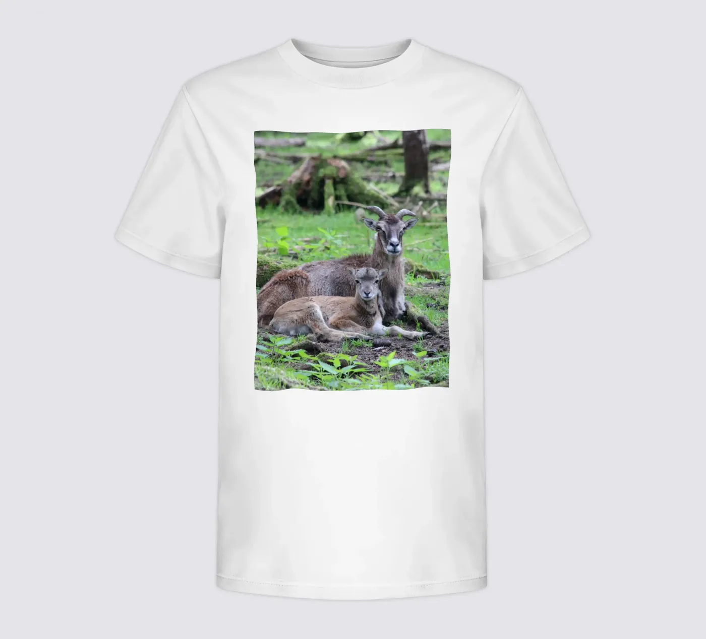 Mufflons t-shirt bambini da Kreativernetzt
