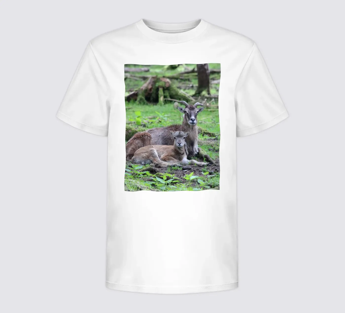 Mufflons t-shirt bambini da Kreativernetzt