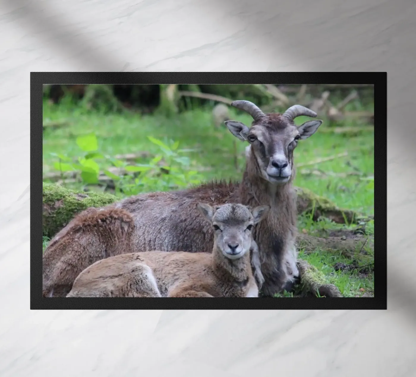 Mufflons Fußmatte von Kreativernetzt
