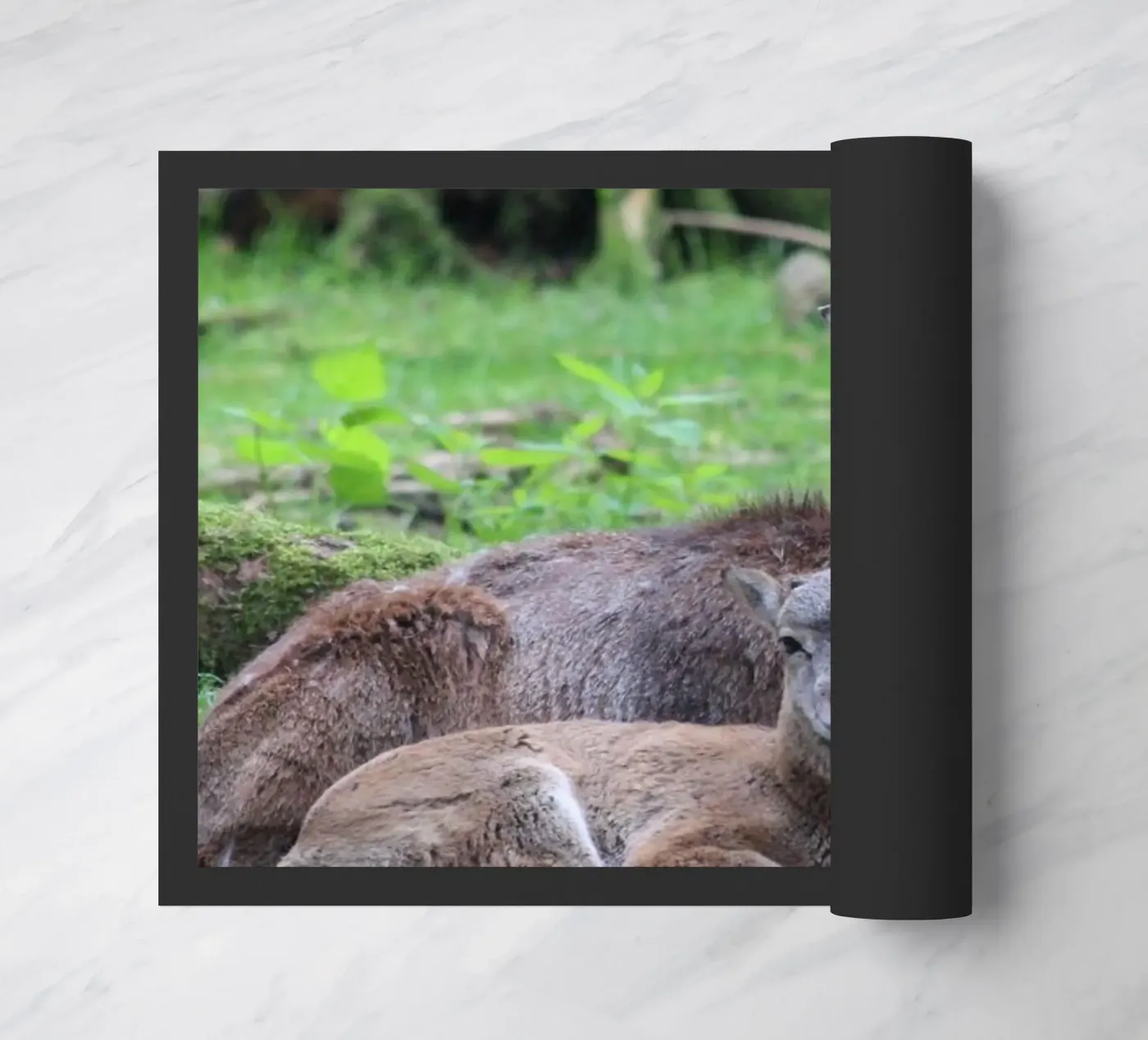 Mufflons Fußmatte von Kreativernetzt