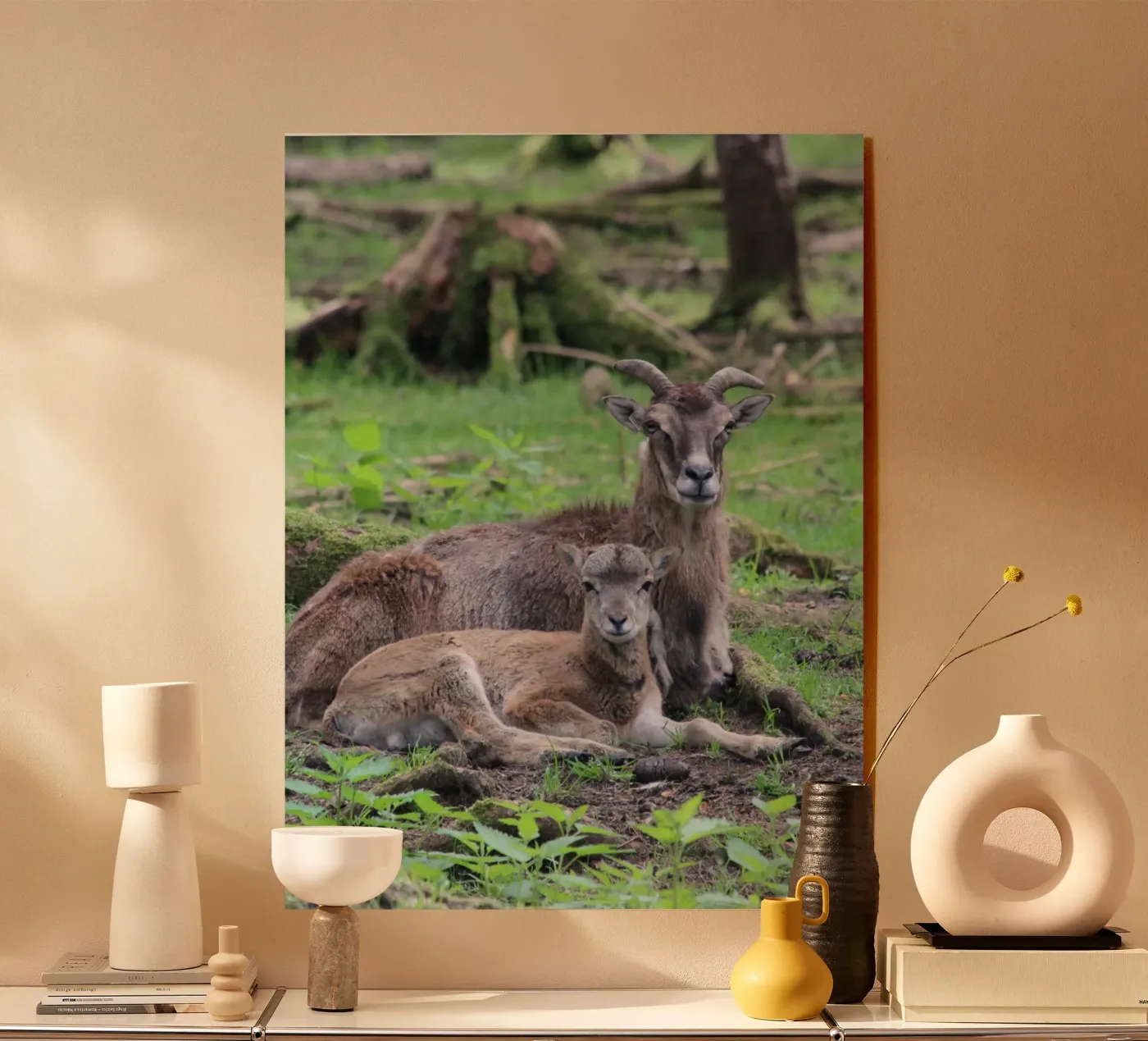 Mufflons Acryl-Glas von Kreativernetzt