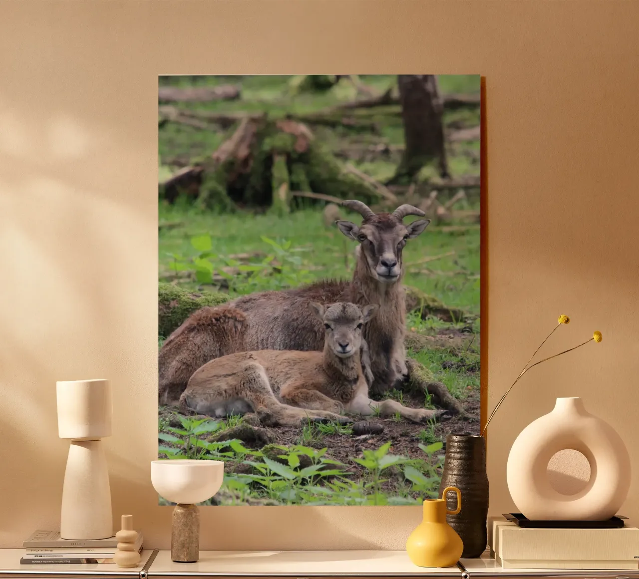 Mufflons plexiglass da Kreativernetzt