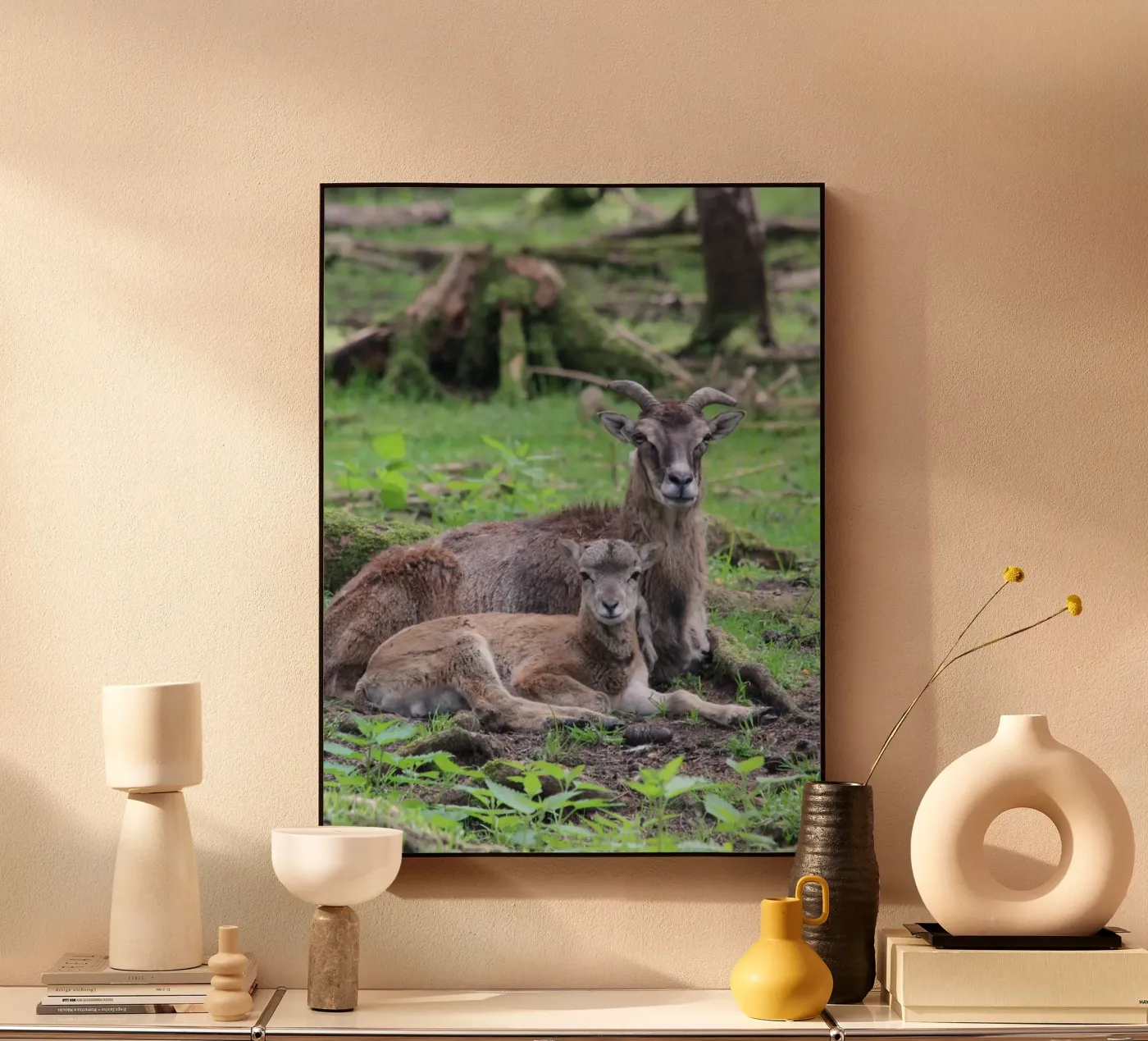 Mufflons pannello forex da Kreativernetzt