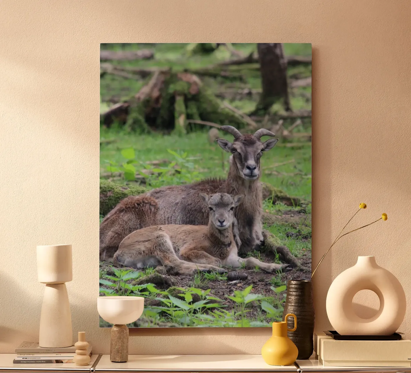 Mufflons pannello forex da Kreativernetzt