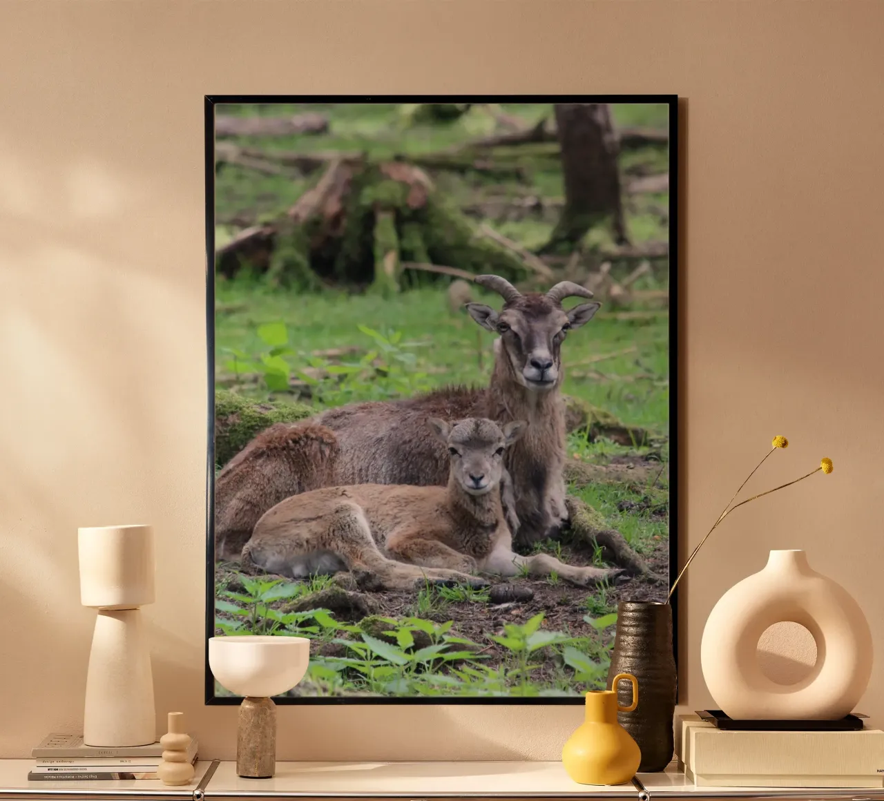 Mufflons poster da Kreativernetzt