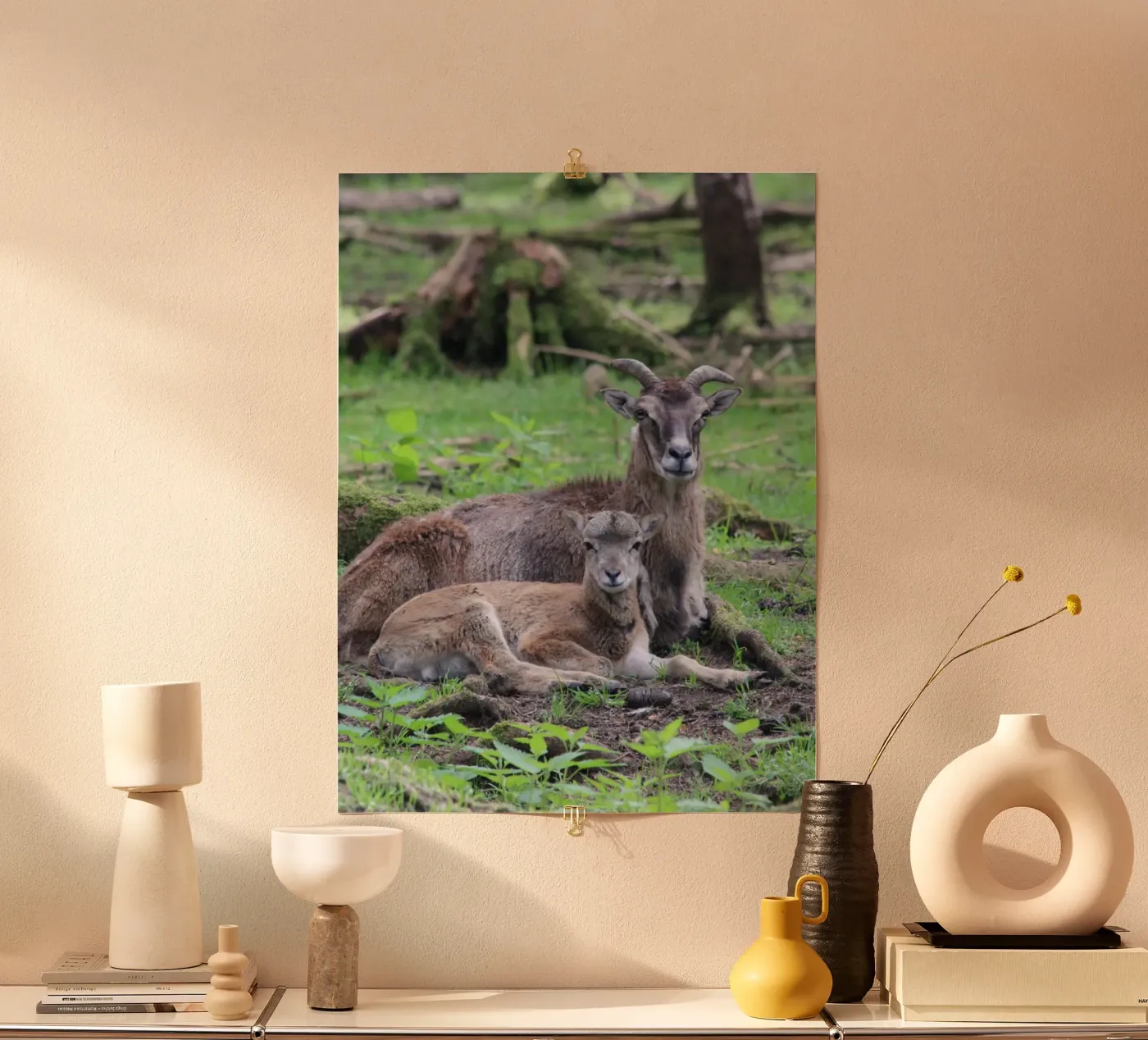 Mufflons poster da Kreativernetzt