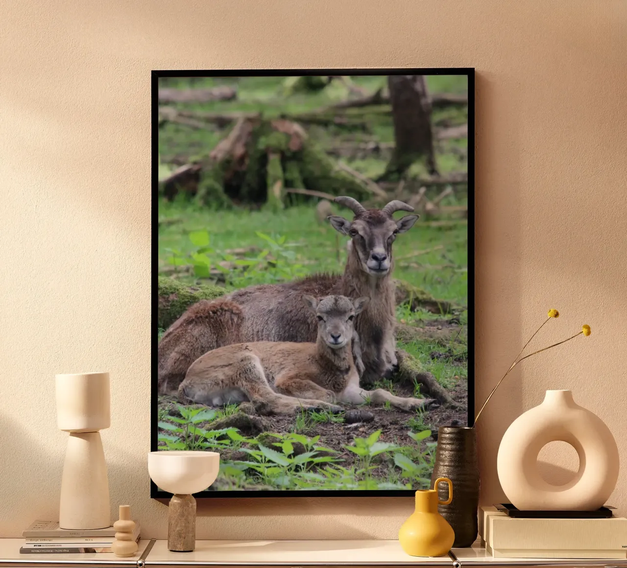 Mufflons poster da Kreativernetzt