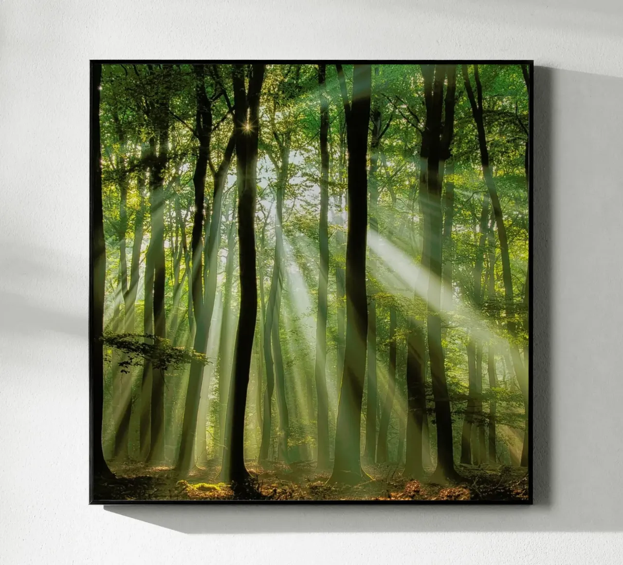 Sunny Start to the Day ........ - Piet Haaksma acrylic glass by Pictufy