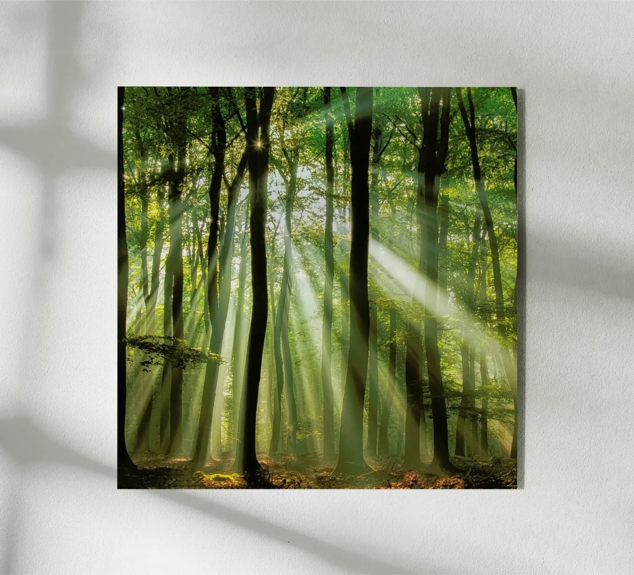 Sunny Start to the Day ........ - Piet Haaksma acrylic glass by Pictufy