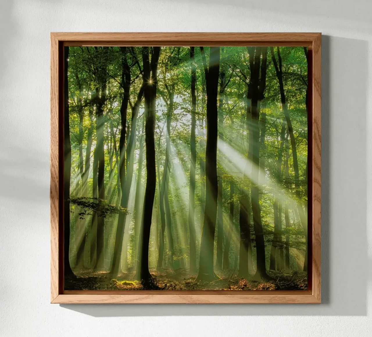 Sunny Start to the Day ........ - Piet Haaksma alu-dibond by Pictufy