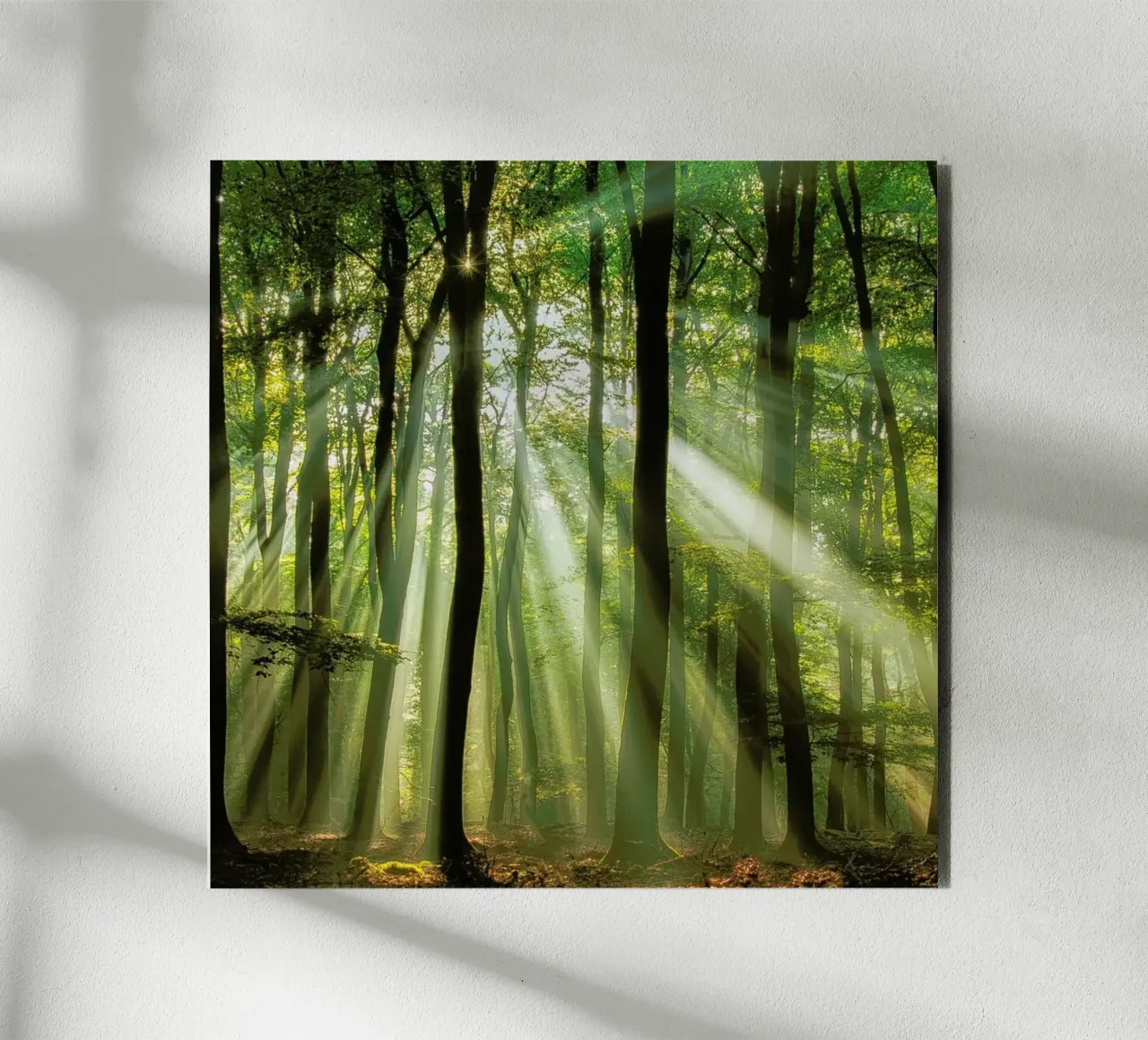 Sunny Start to the Day ........ - Piet Haaksma alu-dibond by Pictufy