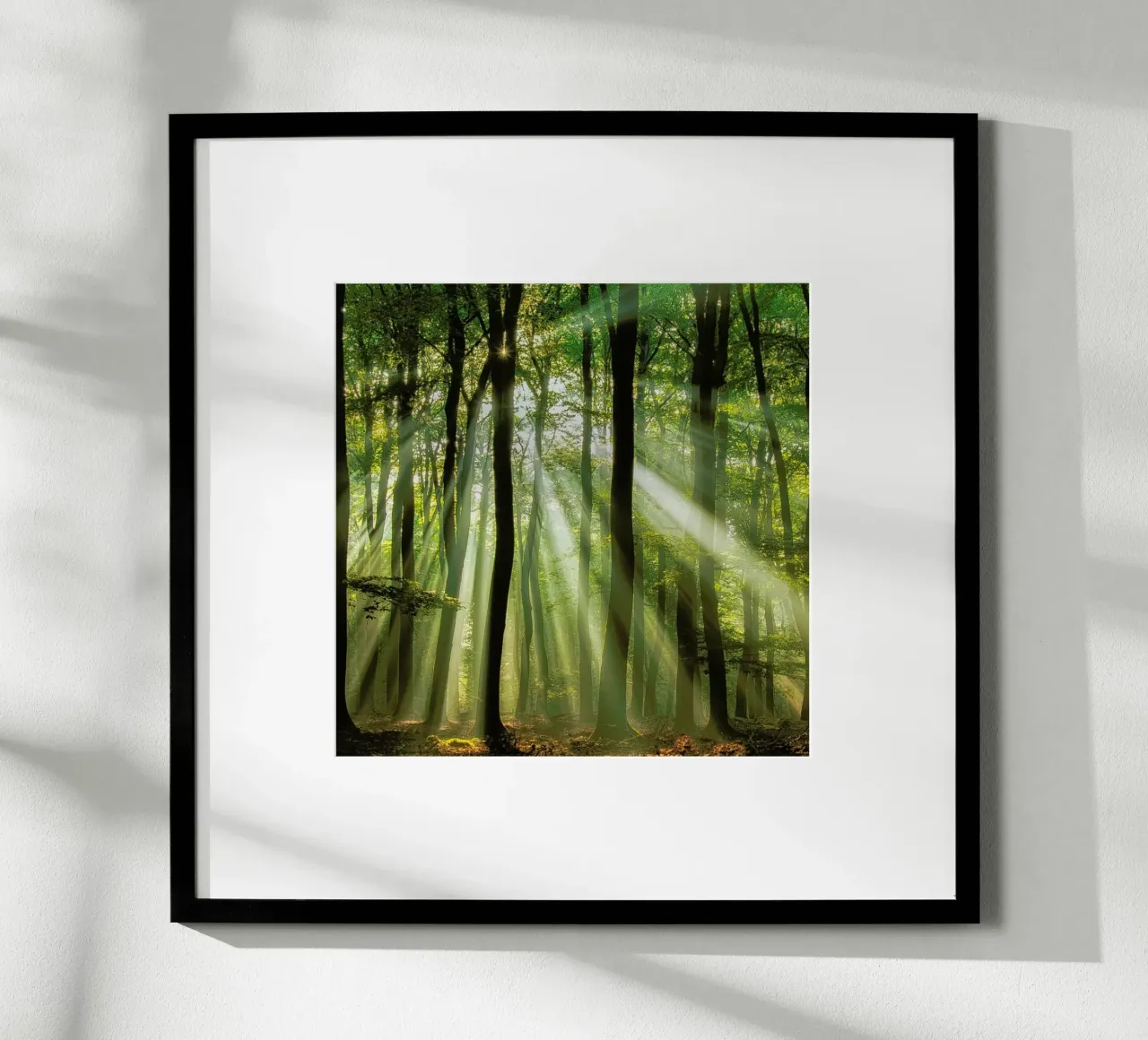 Sunny Start to the Day ........ - Piet Haaksma hahnemühle by Pictufy