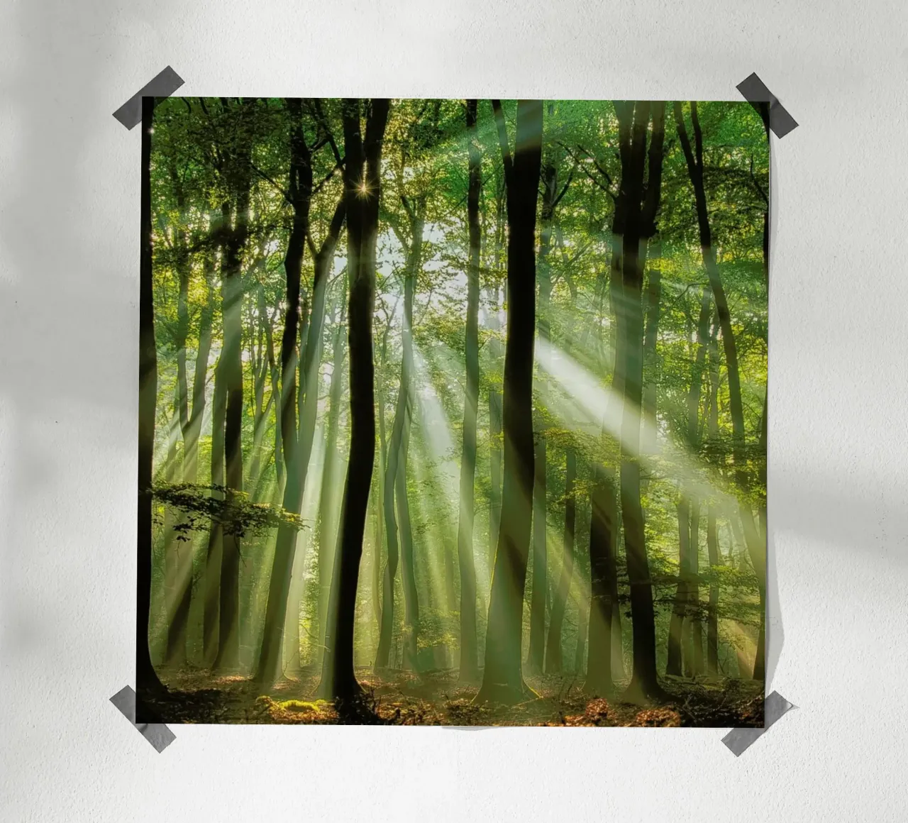 Sunny Start to the Day ........ - Piet Haaksma hahnemühle by Pictufy