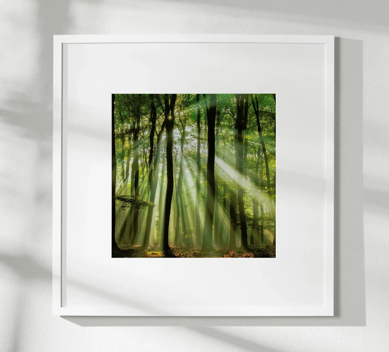 Sunny Start to the Day ........ - Piet Haaksma hahnemühle by Pictufy