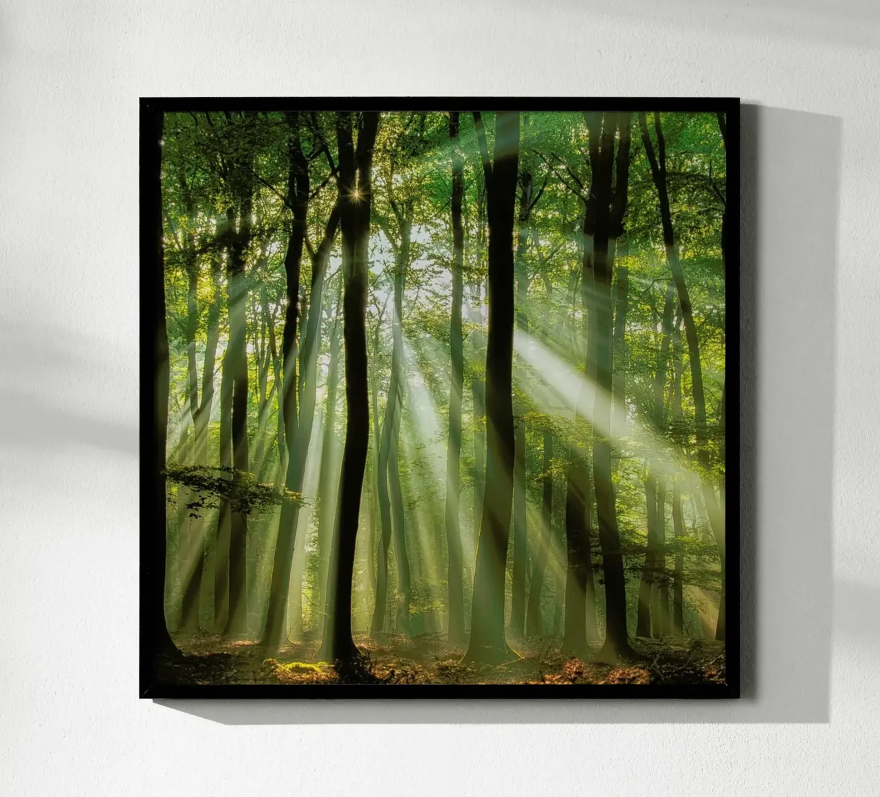 Sunny Start to the Day ........ - Piet Haaksma hahnemühle by Pictufy