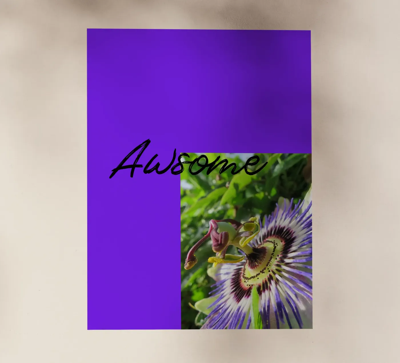 Passiflora pellicola backlit da Kreativernetzt