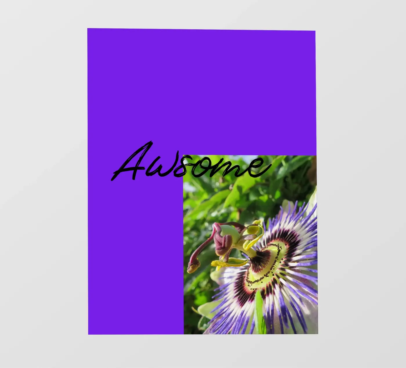 Passiflora pellicola backlit da Kreativernetzt