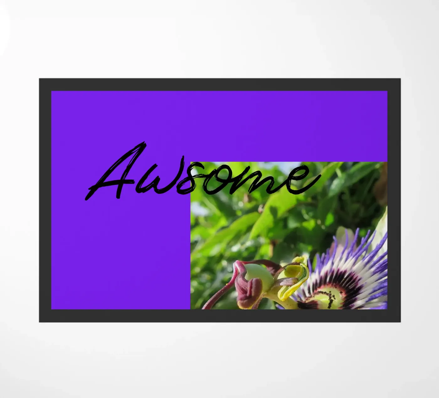 Passiflora zerbino da Kreativernetzt