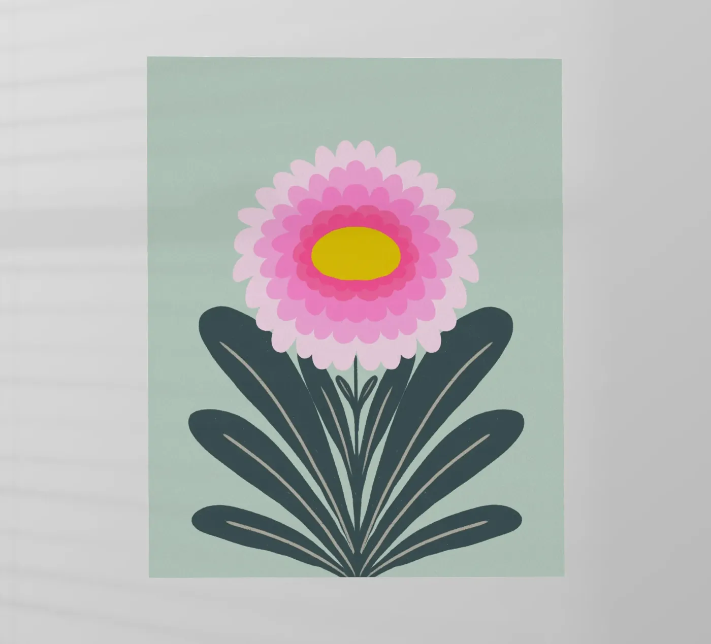 Crisantemo - rosa e menta pellicola backlit da Wackapacka