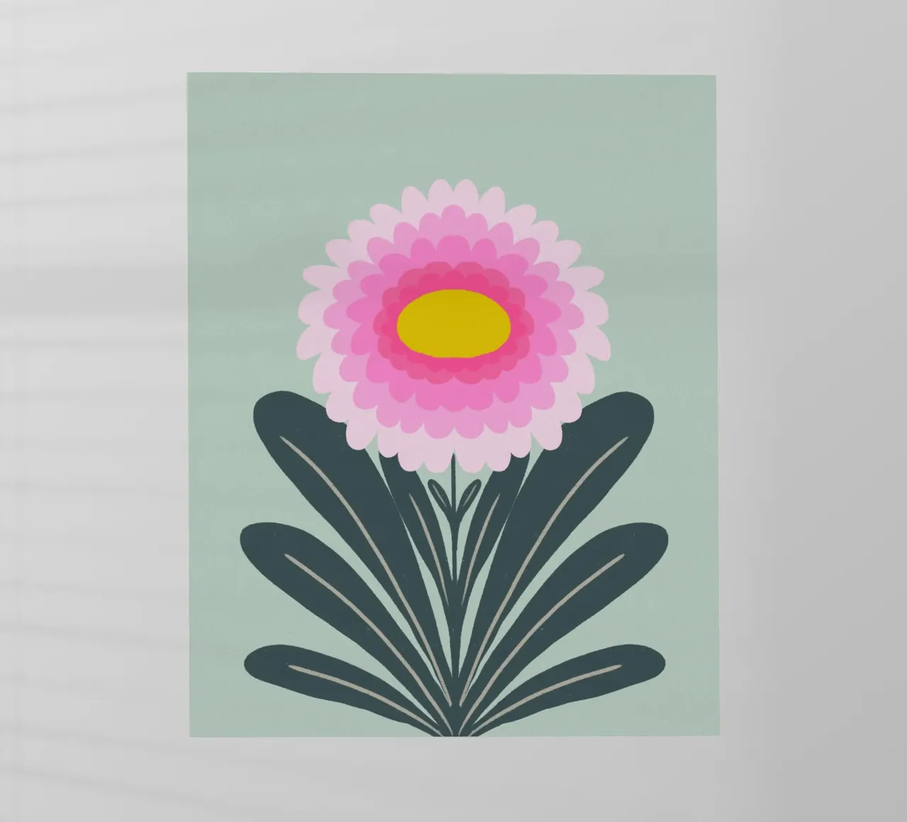 Crisantemo - rosa e menta pellicola backlit da Wackapacka