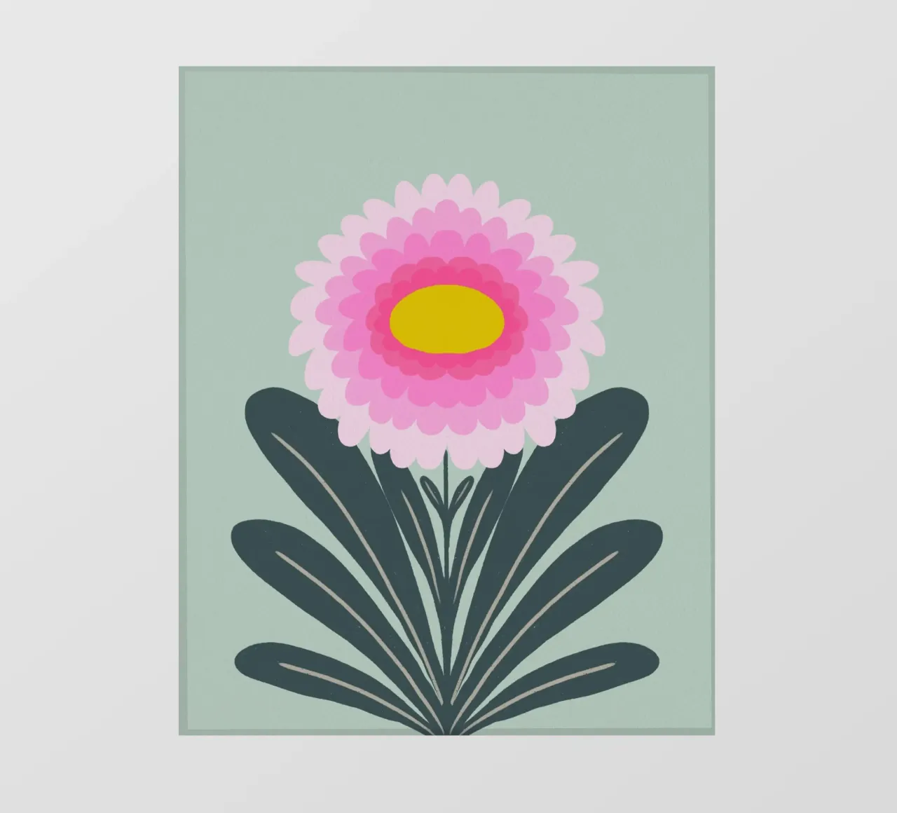 Crisantemo - rosa e menta pellicola backlit da Wackapacka