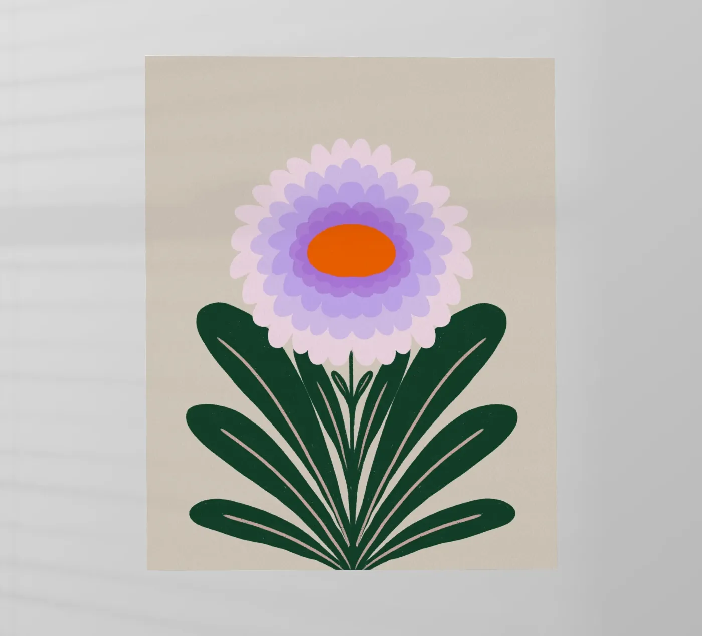 Chrysanthemum - violet backlit folie van Wackapacka