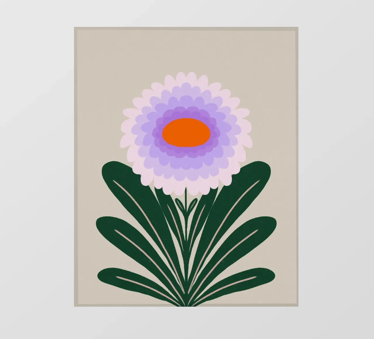 Chrysanthemum - violet photo wallpaper by Wackapacka