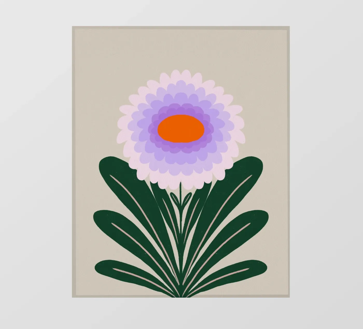 Chrysanthemum - violet fotobehang van Wackapacka