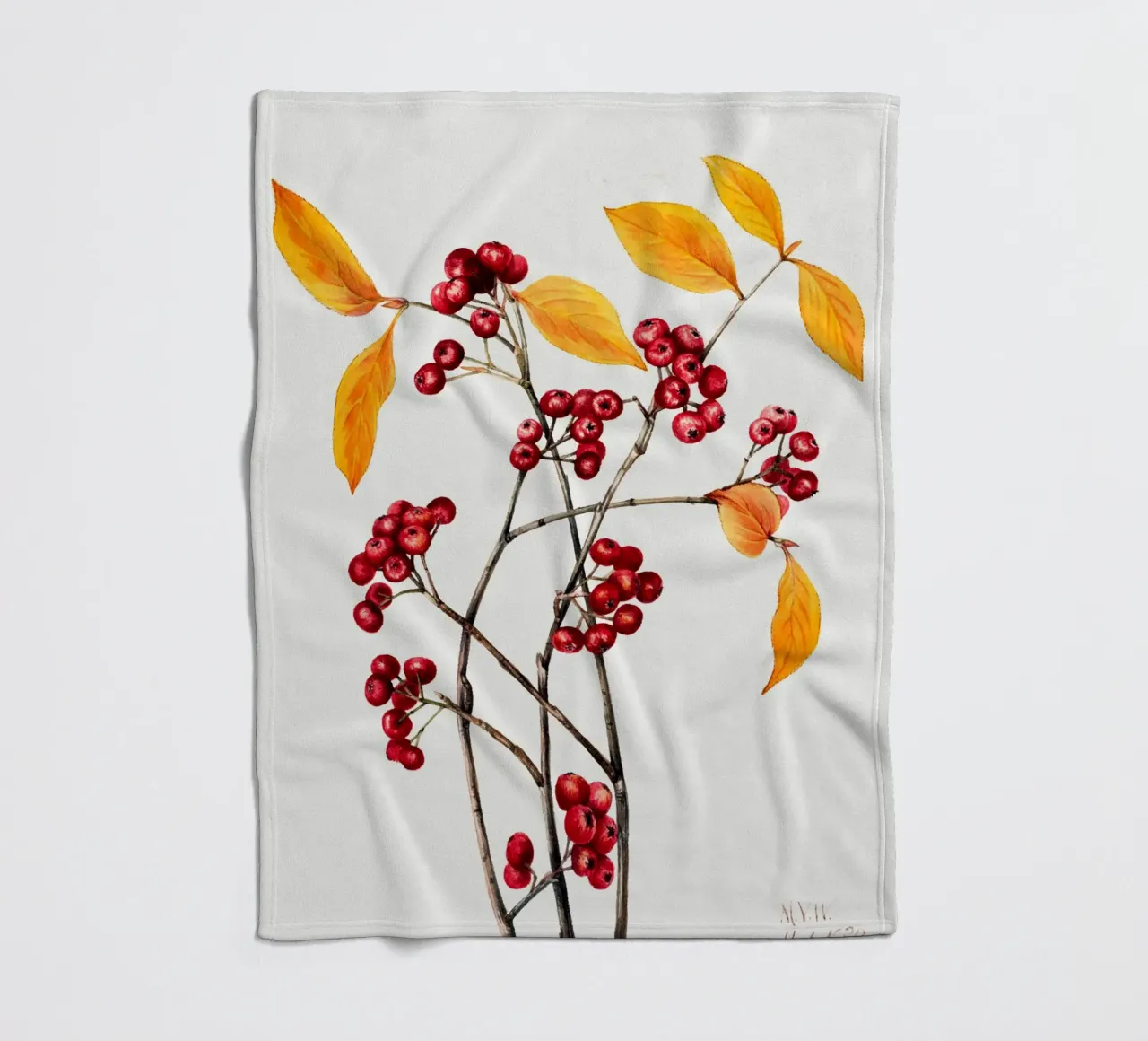 Mary Vaux Walcott - Bacche di aronia rossa coperta in pile da Old Masters