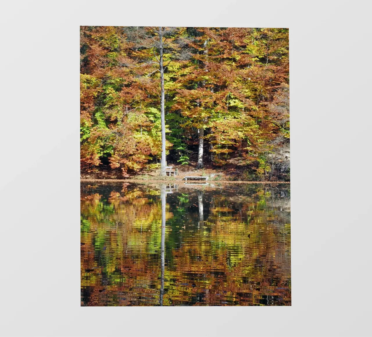 Momento d'autunno pellicola backlit da Kreativernetzt