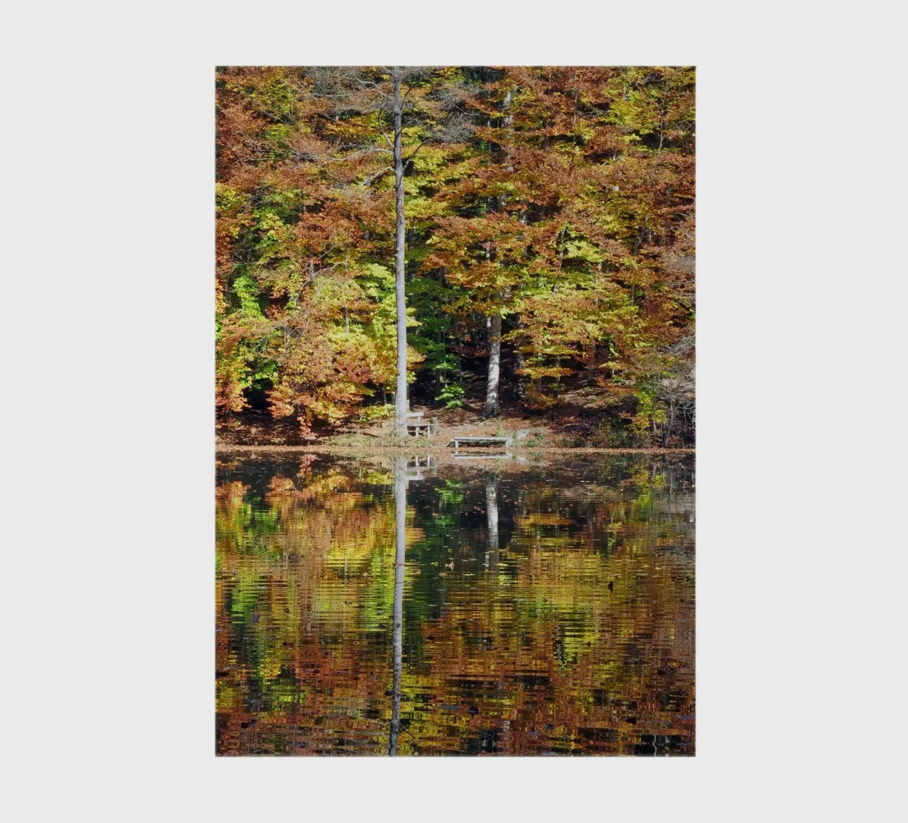 Autumn moment notebook by Kreativernetzt